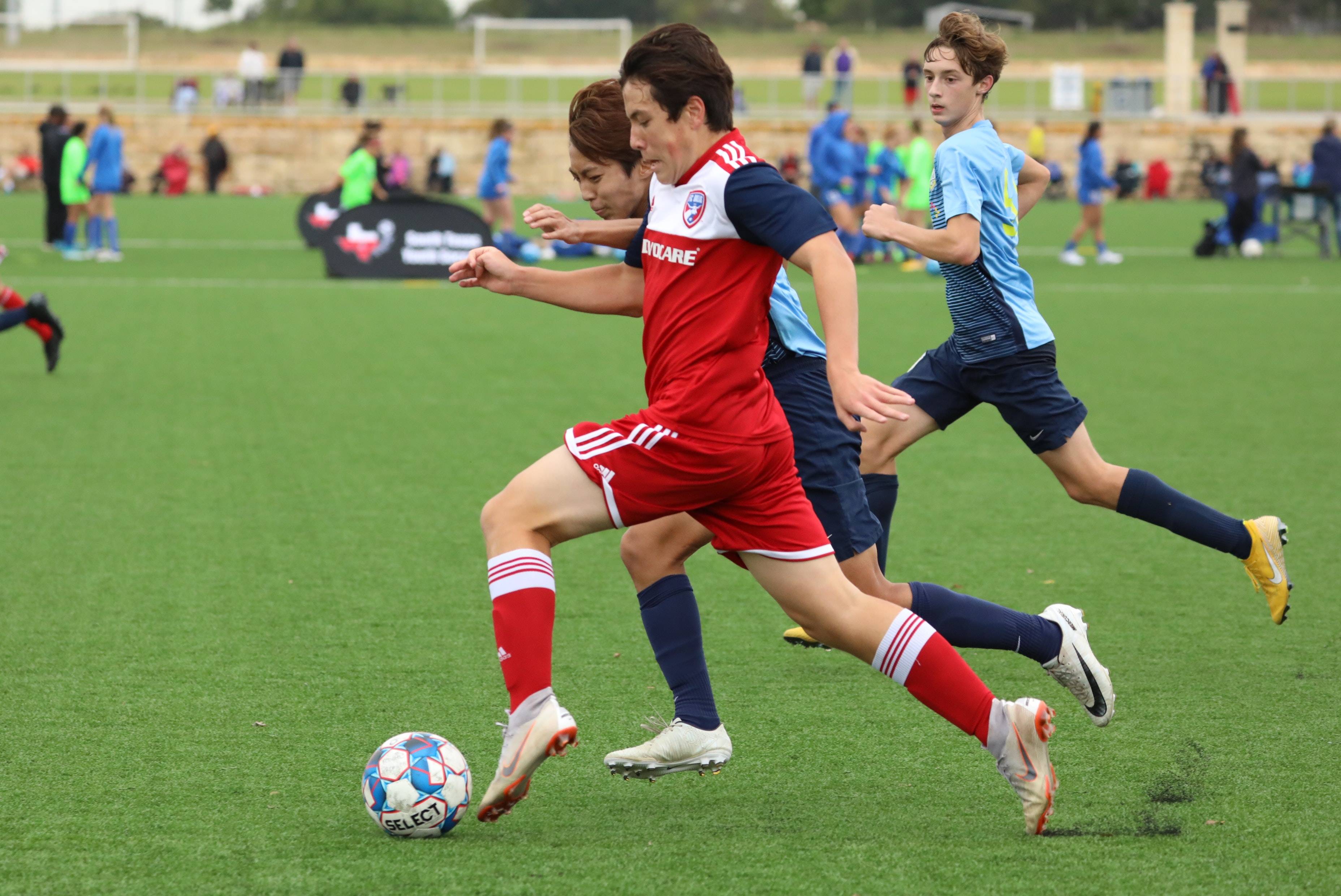 这不仅在本 这不仅在本